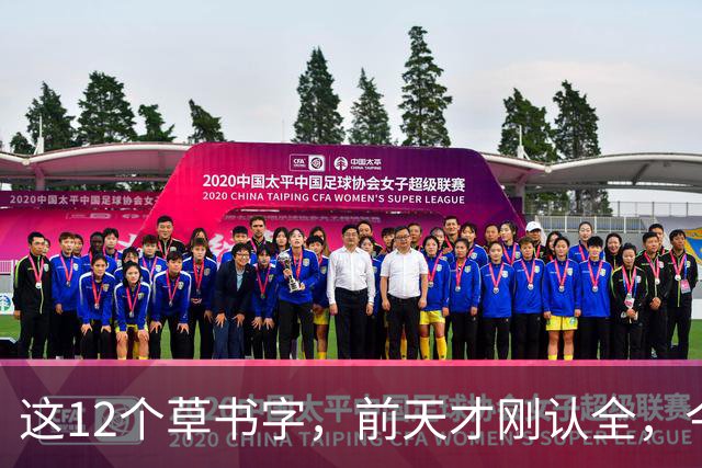 这12个草书字，前天才刚认全，今天就忘了5个——全认出来的是真功夫。草书的写法为什么一段时间不练习，就全忘了？